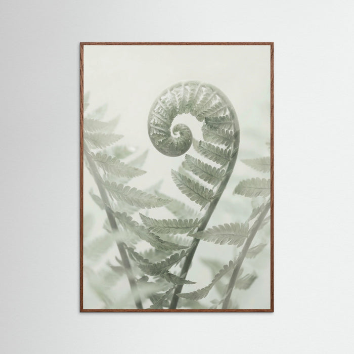 Oak Dark Ethereal Eucalyptus