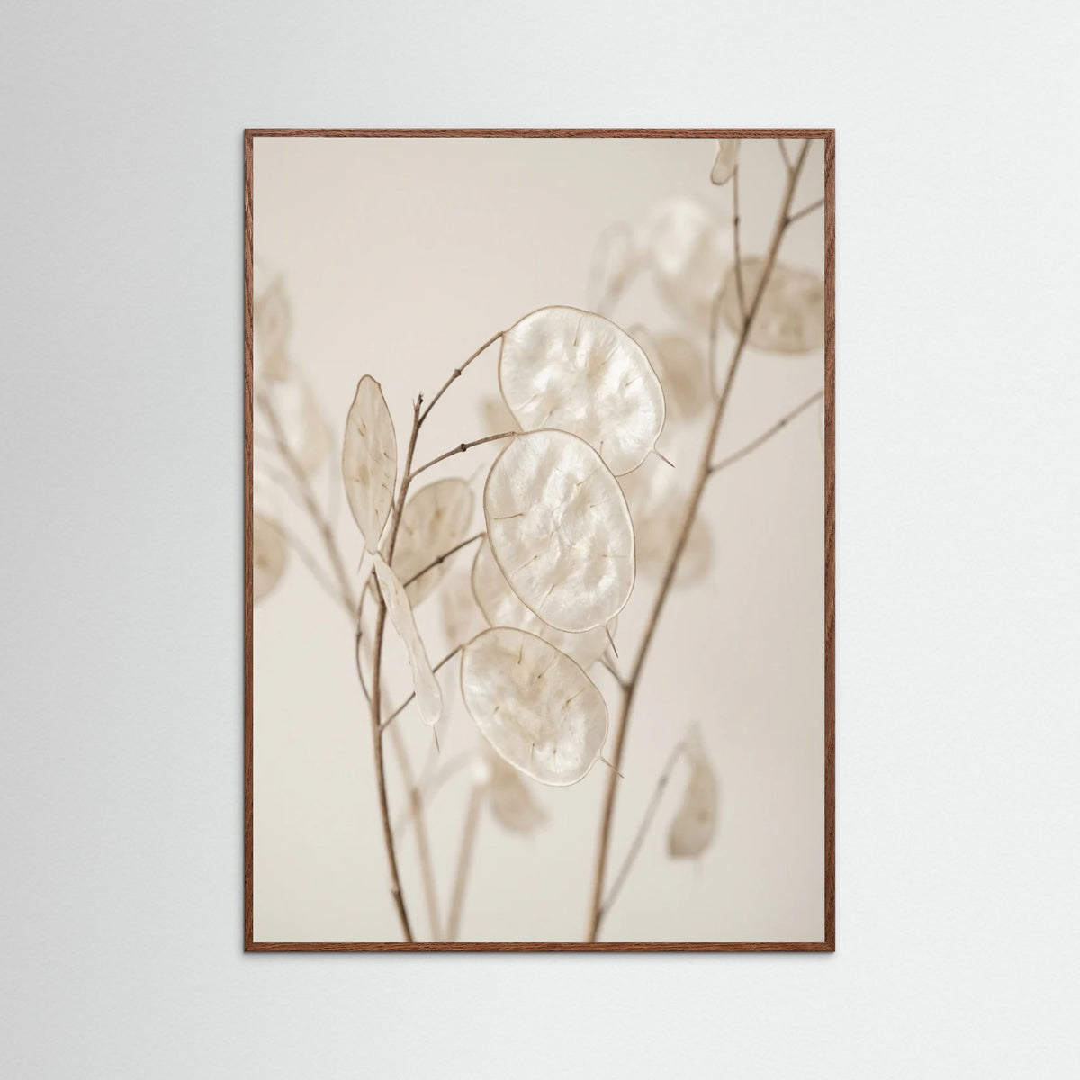 Oak Dark Ethereal Plumes