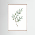 Oak Dark Eucalyptus Serenity