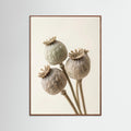 Oak Dark Faded Bloom