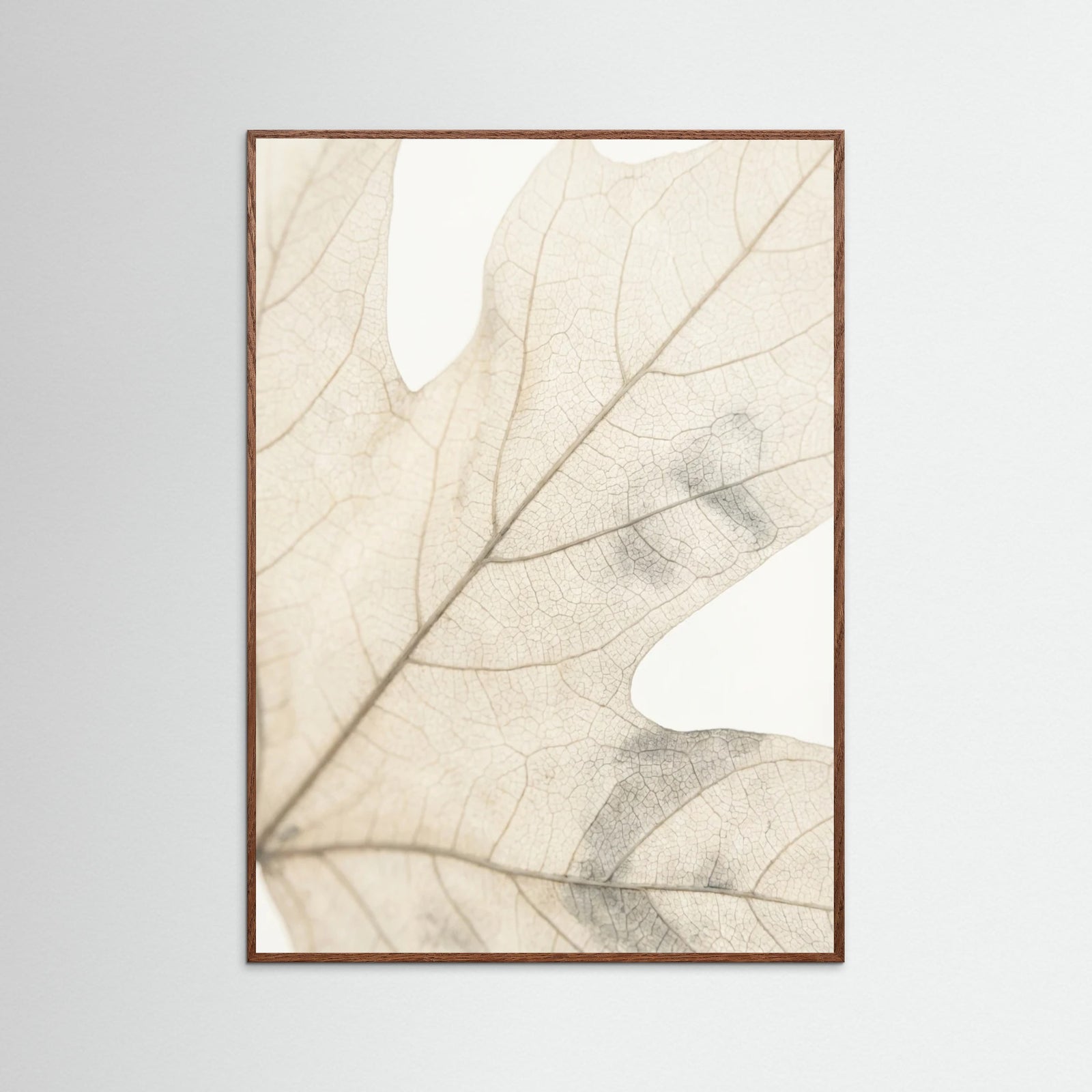 Oak Dark Faded Petals