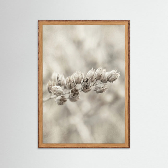 Oak Dark Faded Whisper