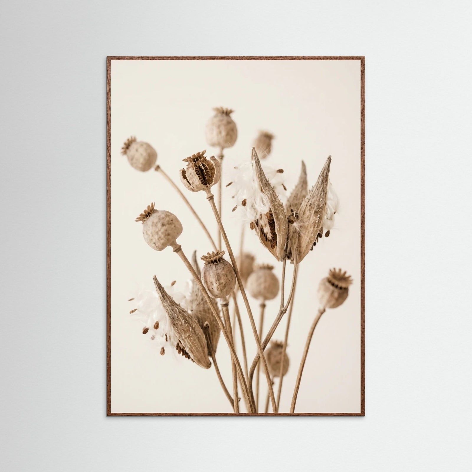 Oak Dark Fading Whisper