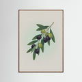 Oak Dark Fig Branch in Vase
