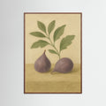 Oak Dark Fig study