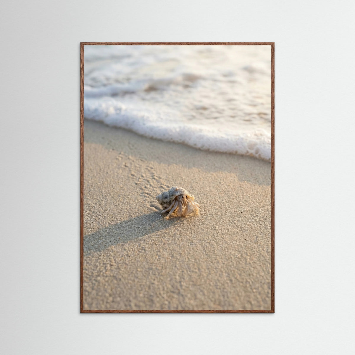 Oak Dark First Journey