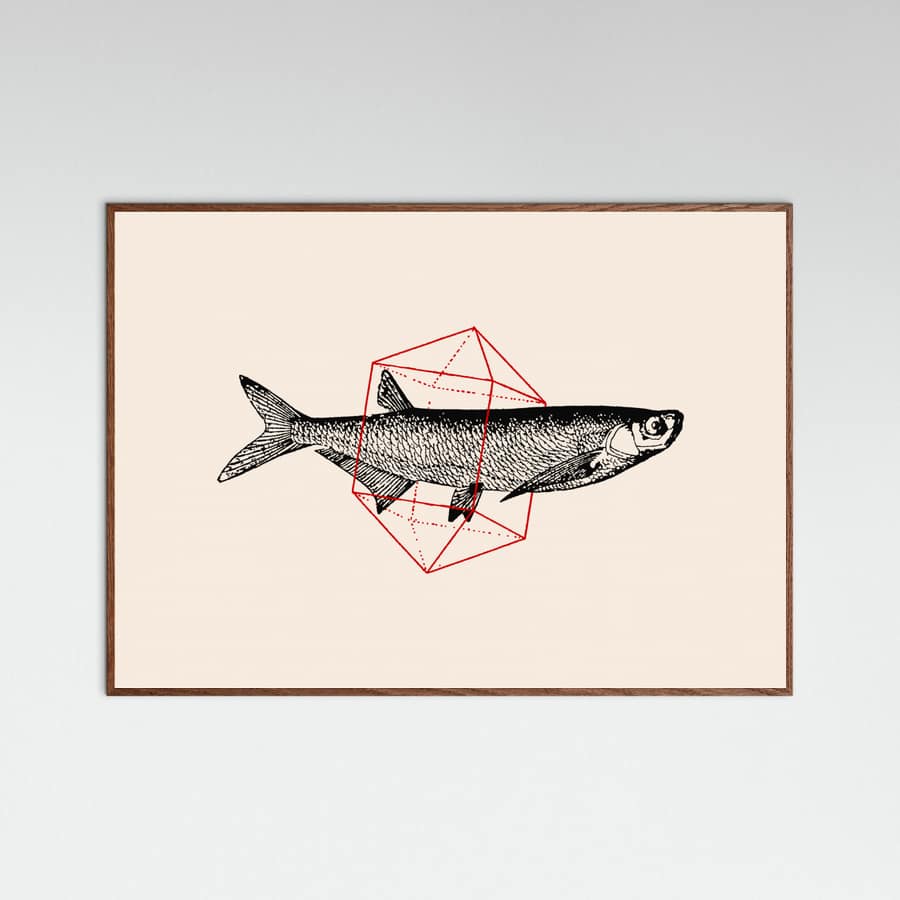 Fish In Geometrics Nº2 Poster – plakat og kunsttryk