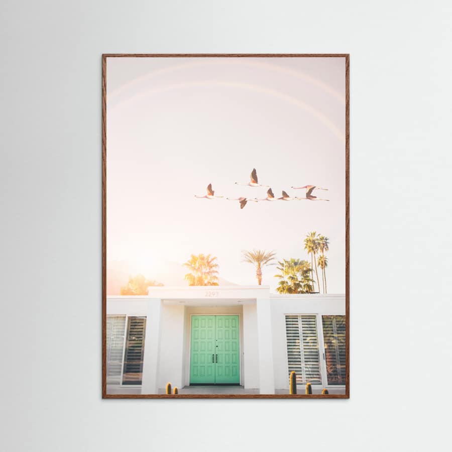 Flamingos In Palm Springs Poster – poster och konsttryck
