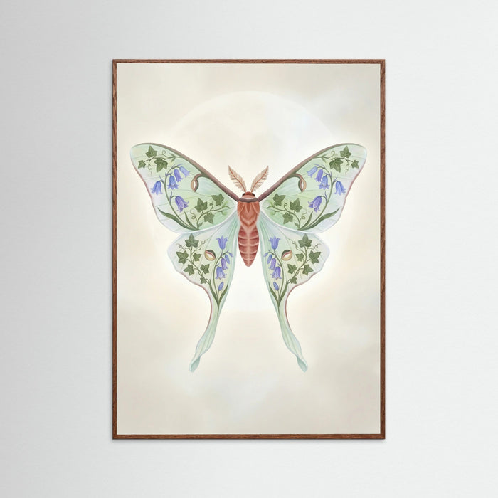 Oak Dark Floral Moth Study