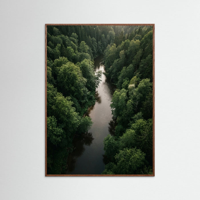 Oak Dark Forest Traverse