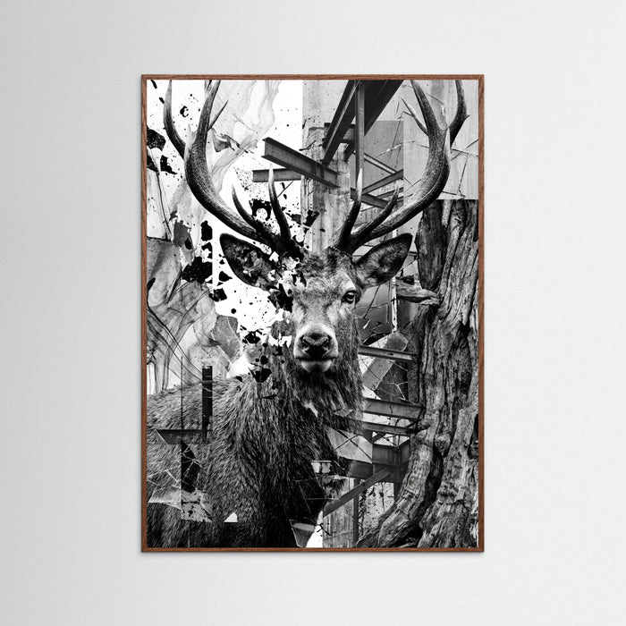 Oak Dark Fractured Gaze