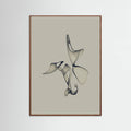 Poster Free Torus - 1 – poster e stampa artistica