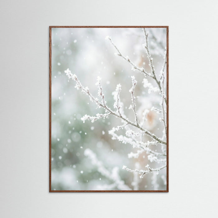 Oak Dark Frosted Pines
