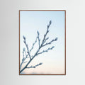Oak Dark Frozen Whisper