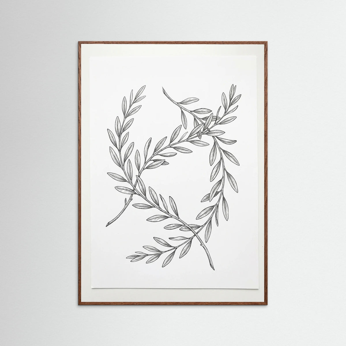 Oak Dark Ginkgo Grace