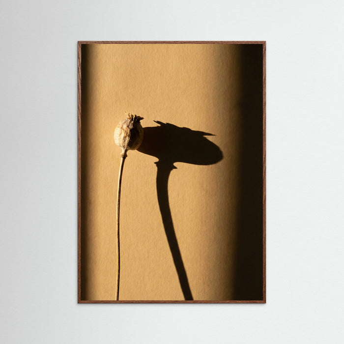 Oak Dark Golden Rose Shadow