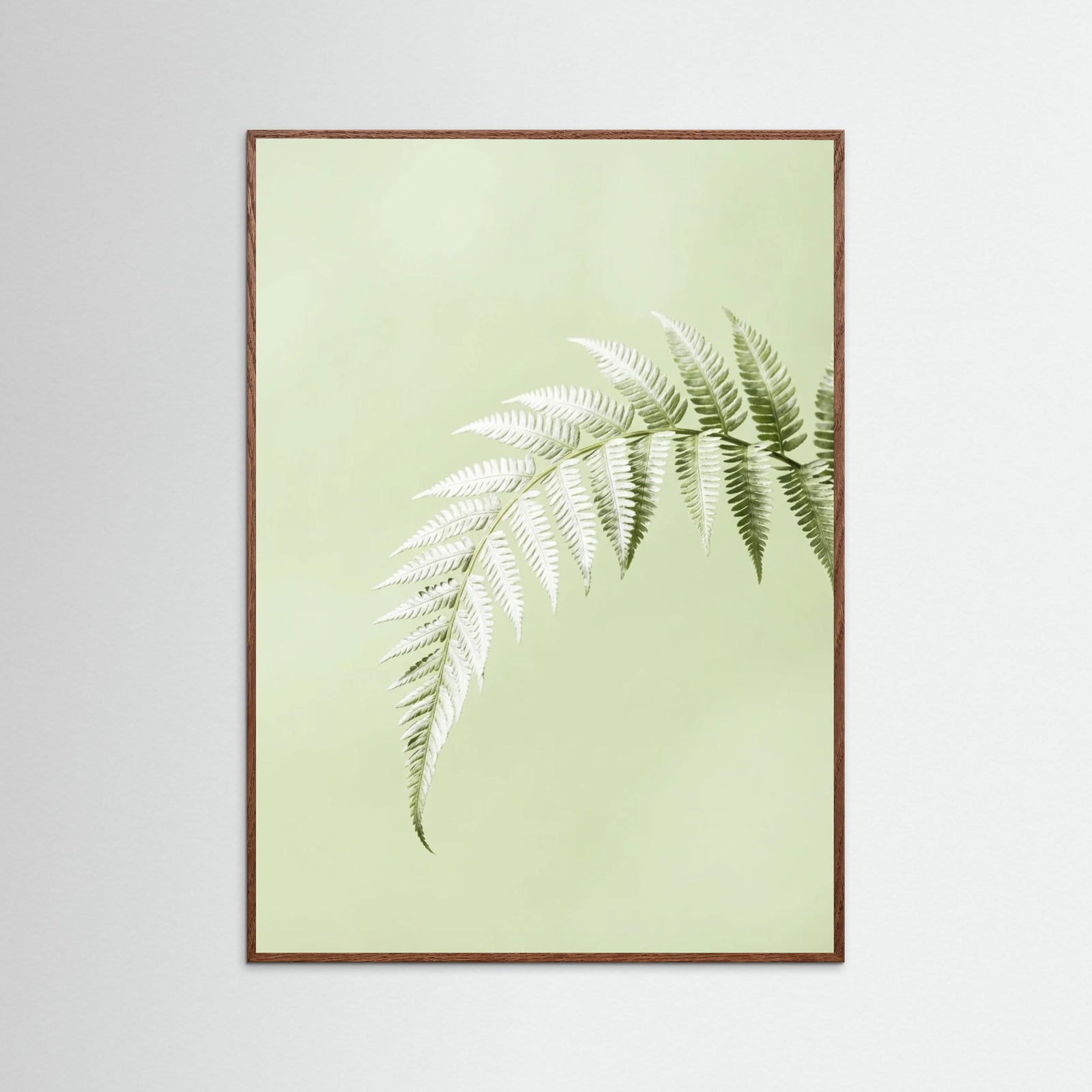 Oak Dark Green Whisper