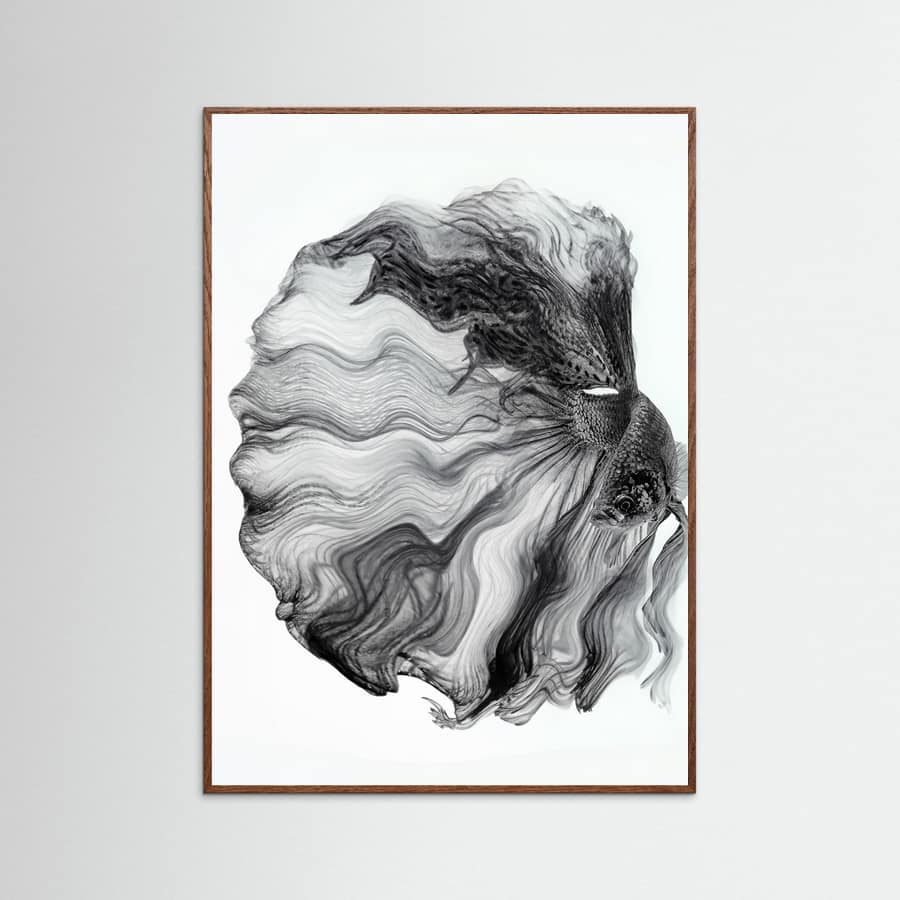 Plakat INK BETTA – plakat i druk artystyczny