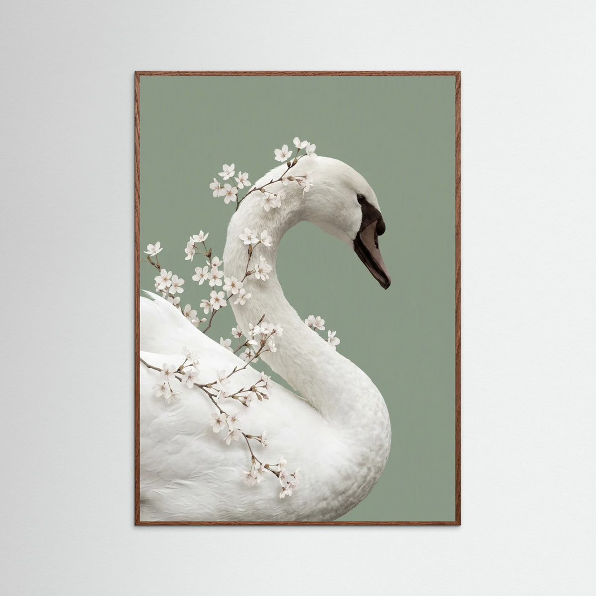 Oak Dark Lilys Whisper