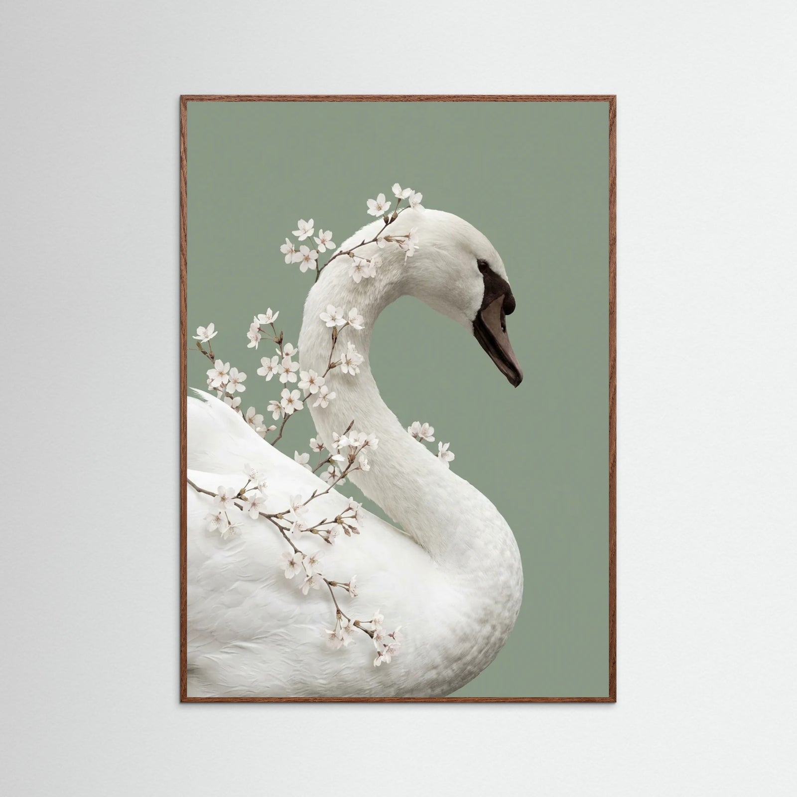 Oak Dark Lilys Whisper