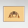 Oak Dark Lydia the Leggiest Cowgirl Spider Poster