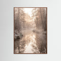 Oak Dark Misty Dawn Reflection
