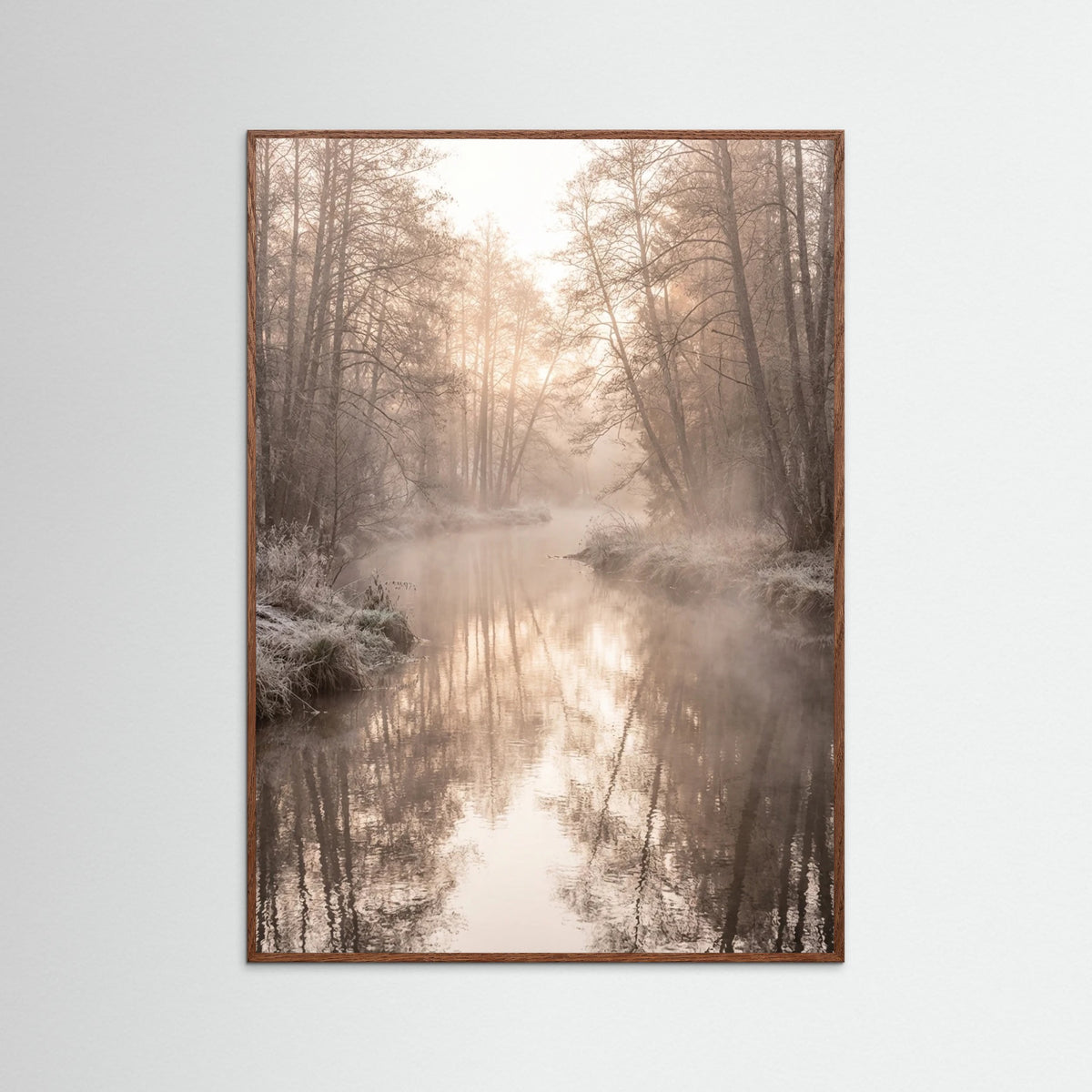 Oak Dark Misty Dawn Reflection