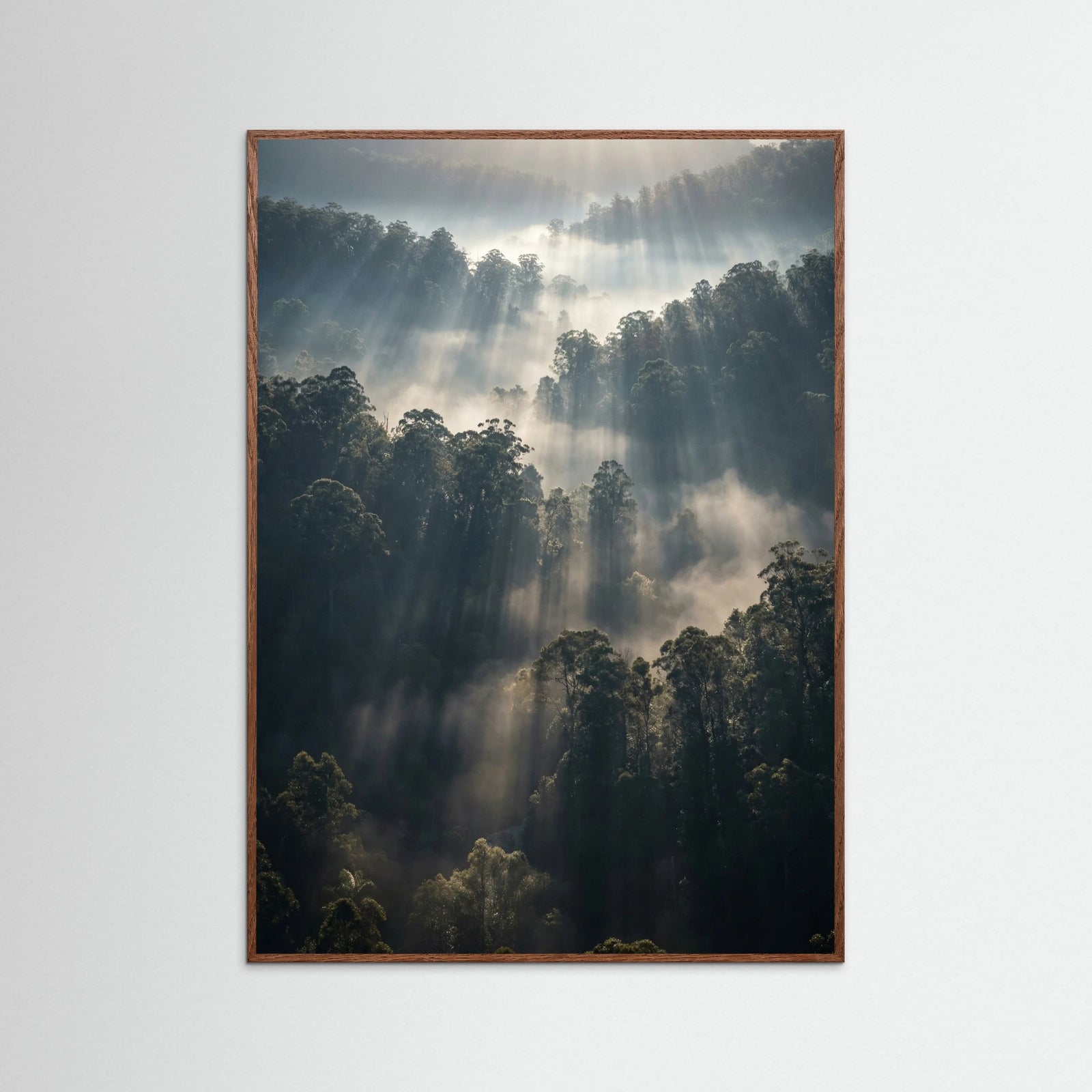 Oak Dark Misty Mountain Lake