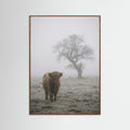 Oak Dark Misty Sheep