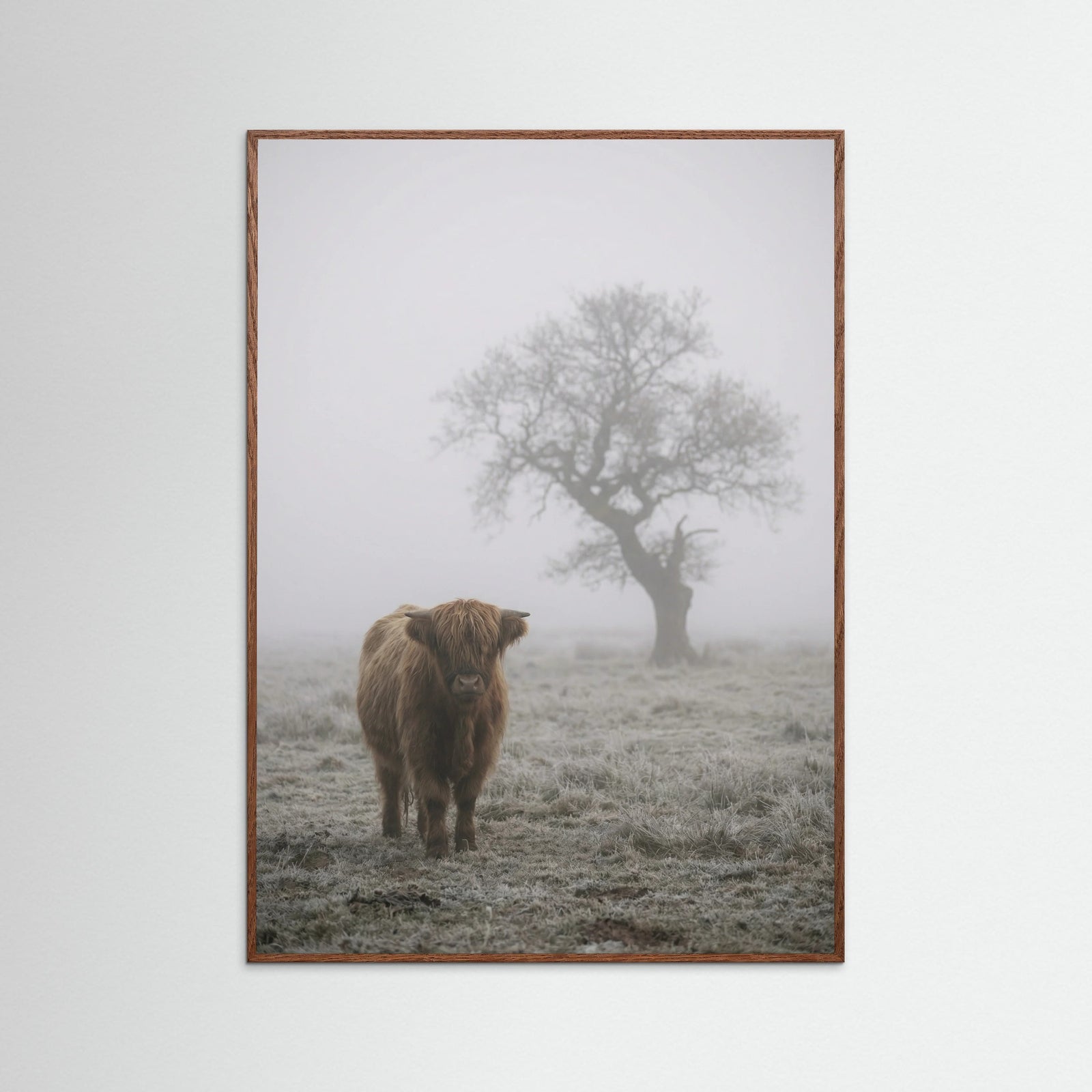 Oak Dark Misty Sheep