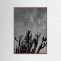 Oak Dark Monochrome Cactus Sky Poster