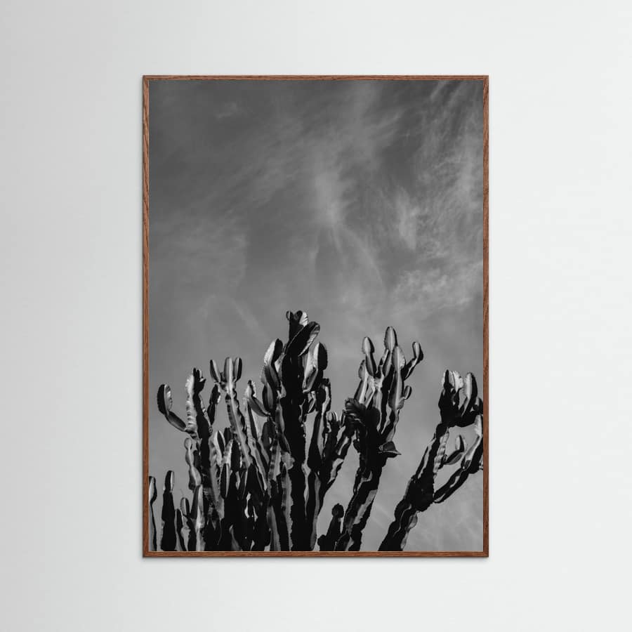 Oak Dark Monochrome Cactus Sky Poster