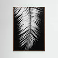 Poster Monochrome Palm Elegance – poster e stampa artistica