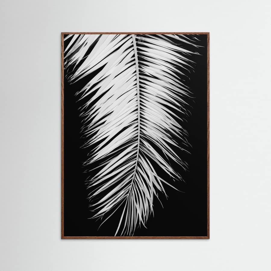 Poster Monochrome Palm Elegance – poster e stampa artistica