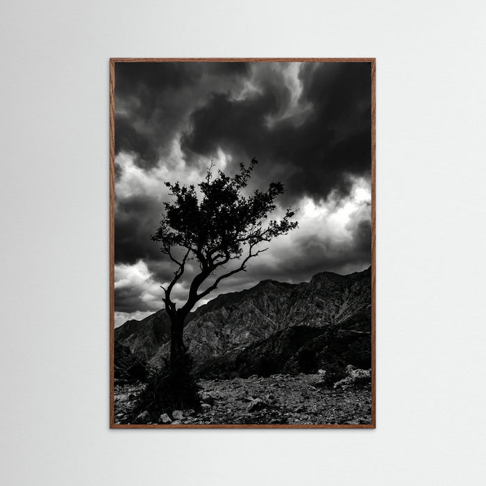 Oak Dark Monochrome Seascape