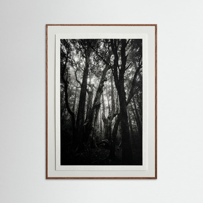 Oak Dark Monolith Coast