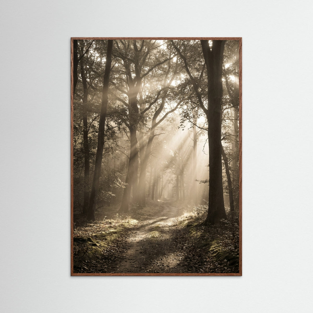 Oak Dark Morning Radiance