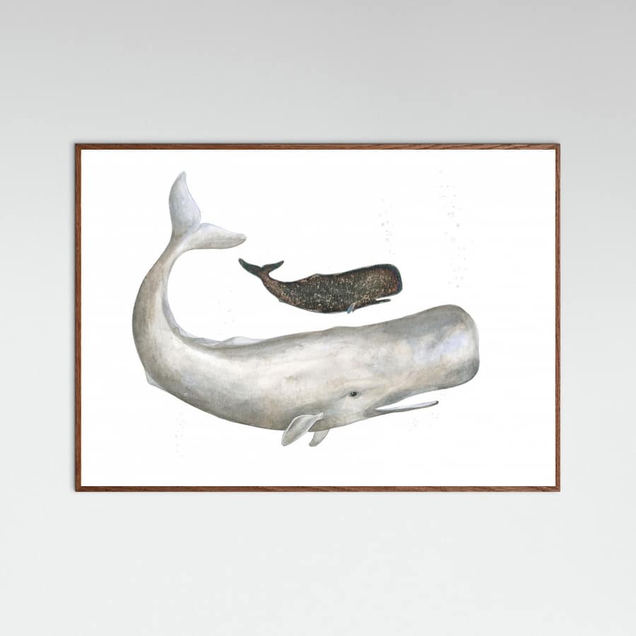 Poster Mother and Baby Sperm Whale – poster e stampa artistica
