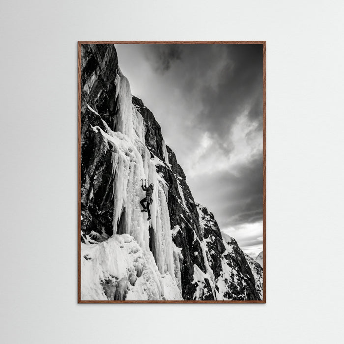 Oak Dark Mountain Leap