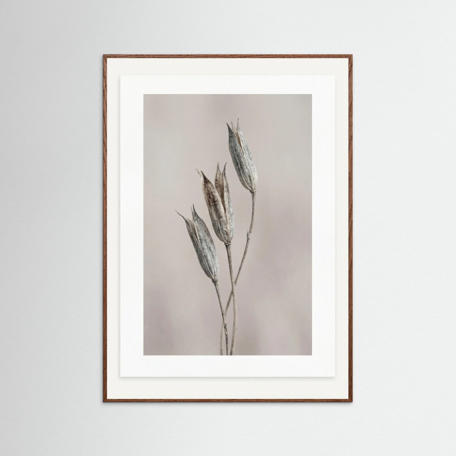 Oak Dark Muted Bloom