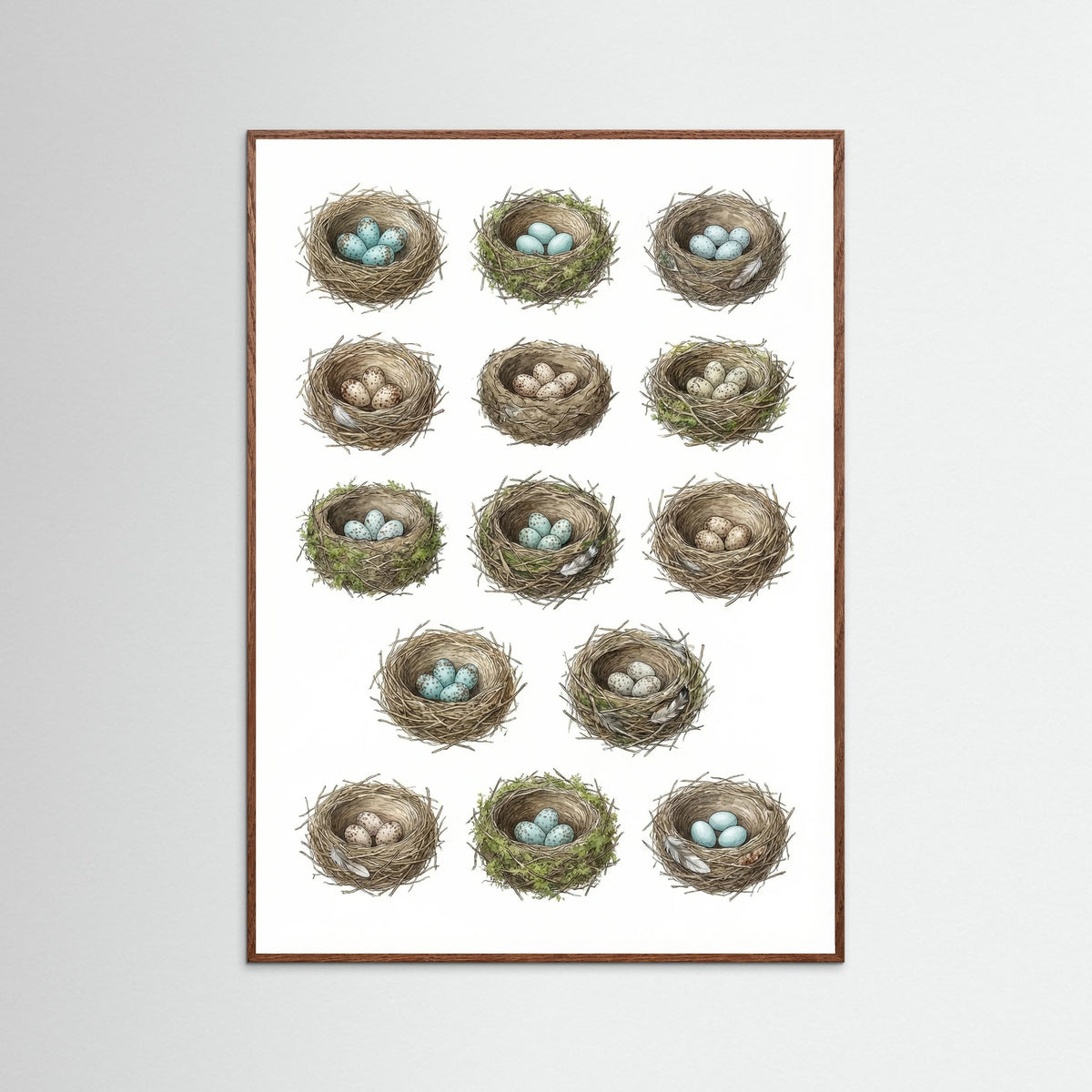 Oak Dark Nordic Avian Studies