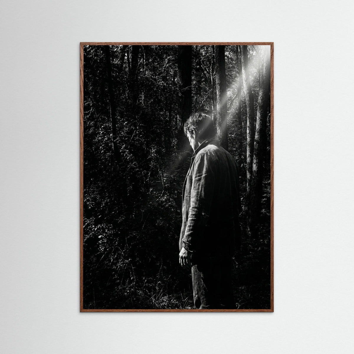 Oak Dark Obscured Presence