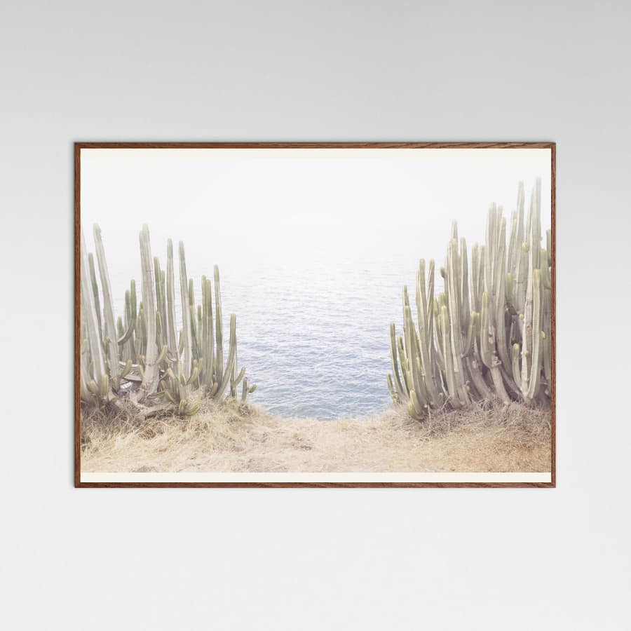 Oak Dark Ocean Cactus Poster