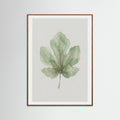 Oak Dark Olive Branch Study