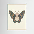 Oak Dark Ornate Silk Moth