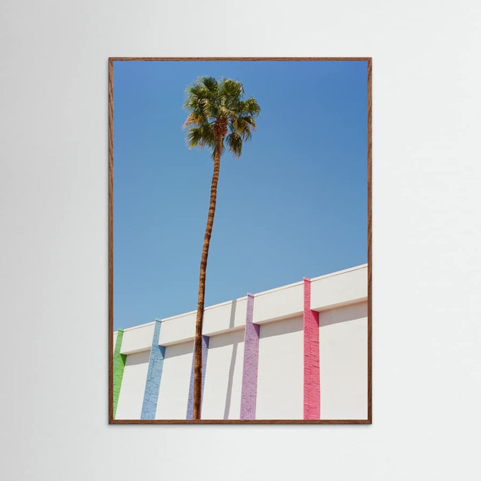Oak Dark Palm Springs II Poster