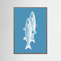 Poster Pescados – poster e stampa artistica