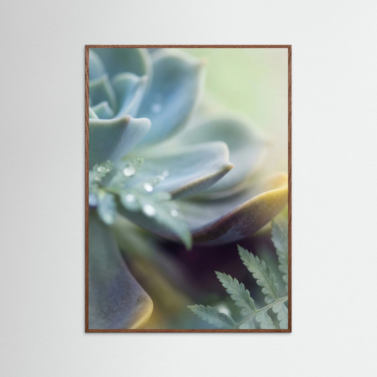 Oak Dark Petal Embrace