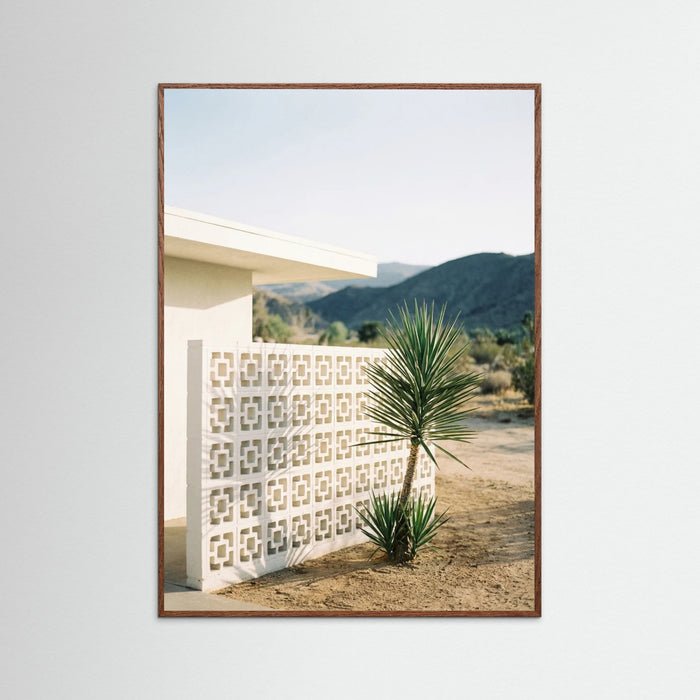 Oak Dark Poolside Palms