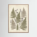 Oak Dark Pressed Botanicals